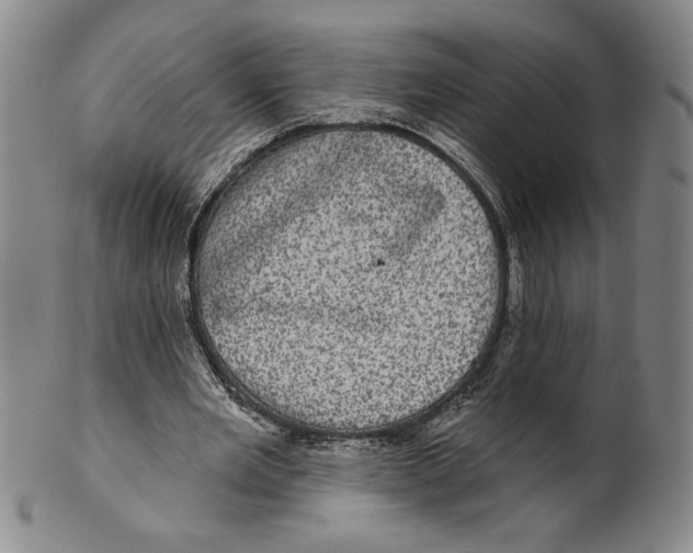 X0000101970485200808081554