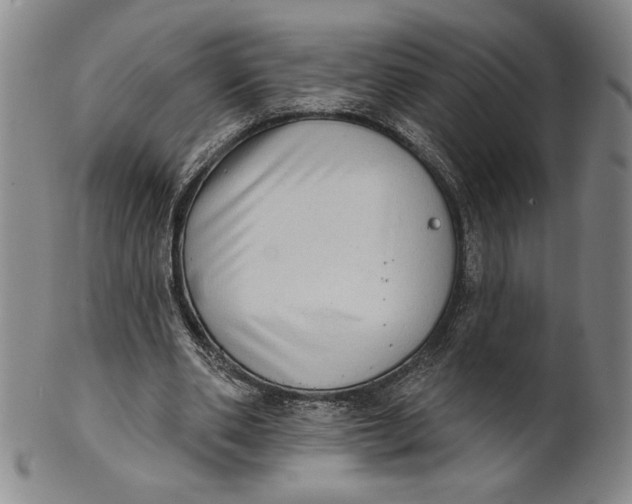 X0000101970486200808081554