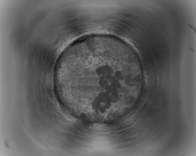 X0000101970487200808081554