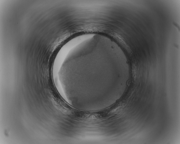 X0000101970488200808081554