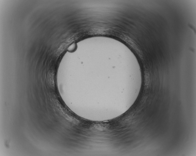 X0000101970489200808081554