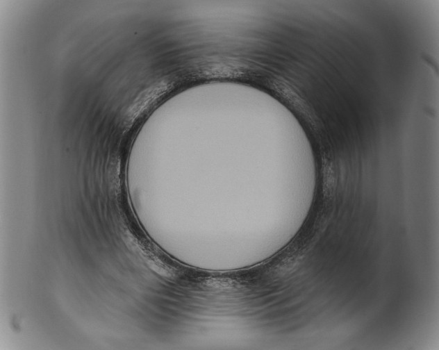 X0000101970490200808081554