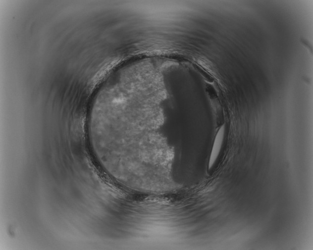 X0000101970491200808081554