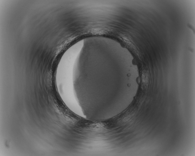 X0000101970492200808081554