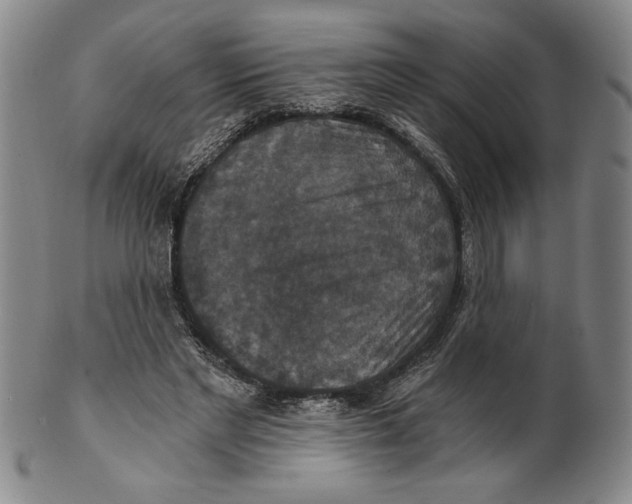 X0000101970493200808081554