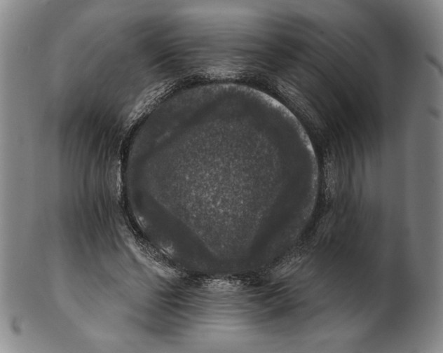 X0000101970494200808081554