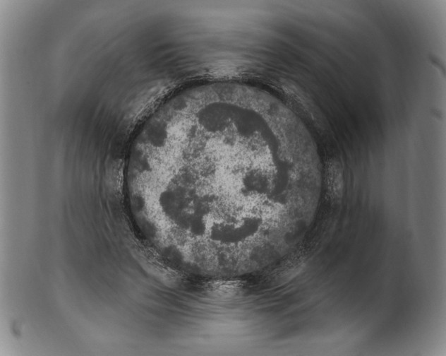 X0000101970495200808081554
