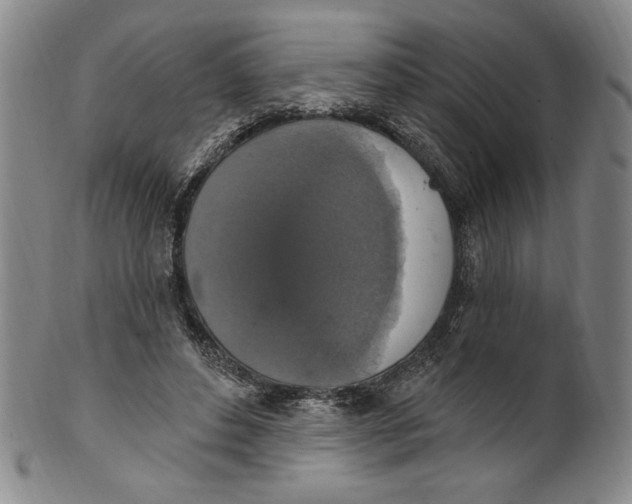 X0000101970496200808081554