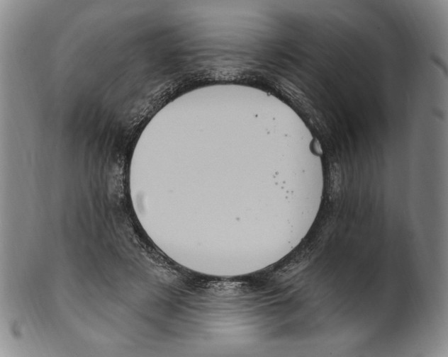 X0000101970497200808081554