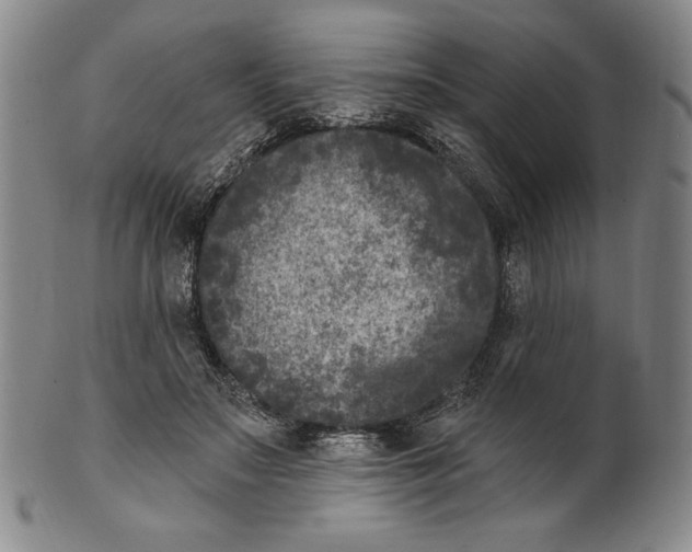 X0000101970499200808081554