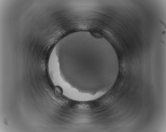 X0000101970500200808081554