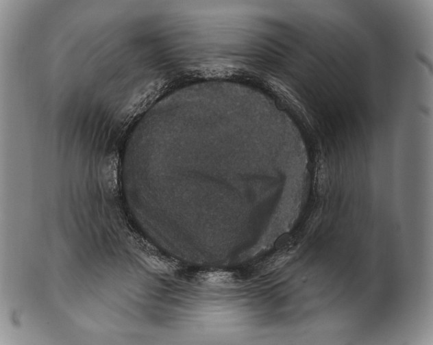 X0000101970501200808081554