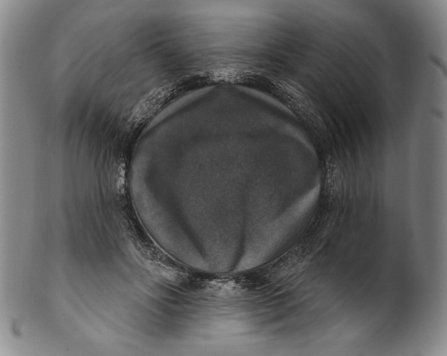 X0000101970502200808081554