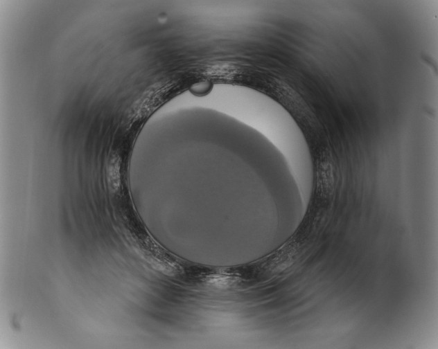 X0000101970504200808081554