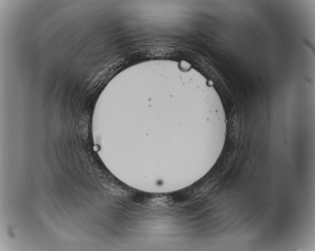X0000101970505200808081554