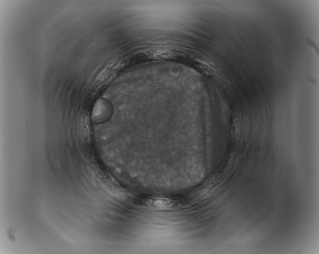 X0000101970506200808081554