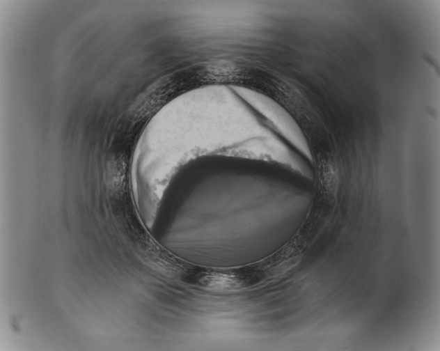 X0000101970507200808081554