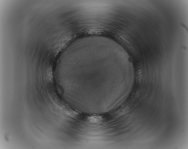 X0000101970508200808081554