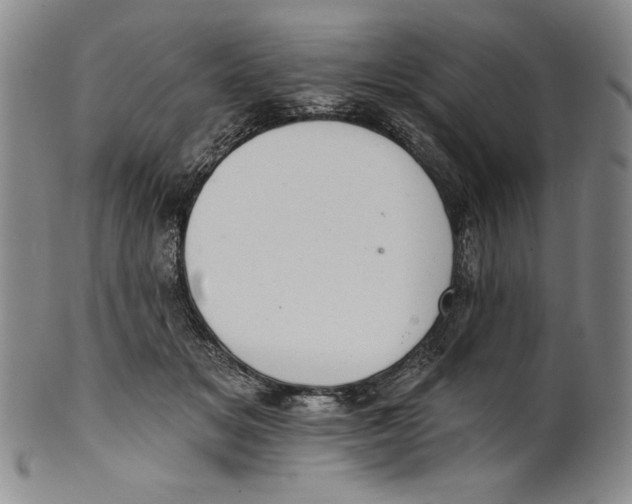 X0000101970509200808081554