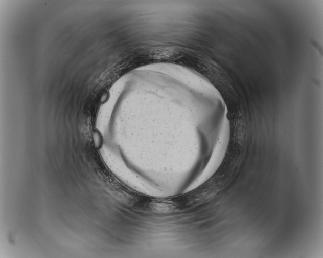 X0000101970510200808081554