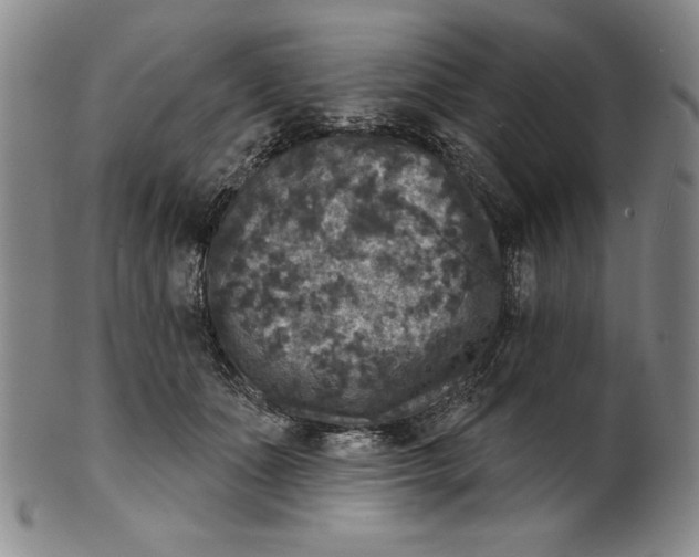 X0000101970511200808081554