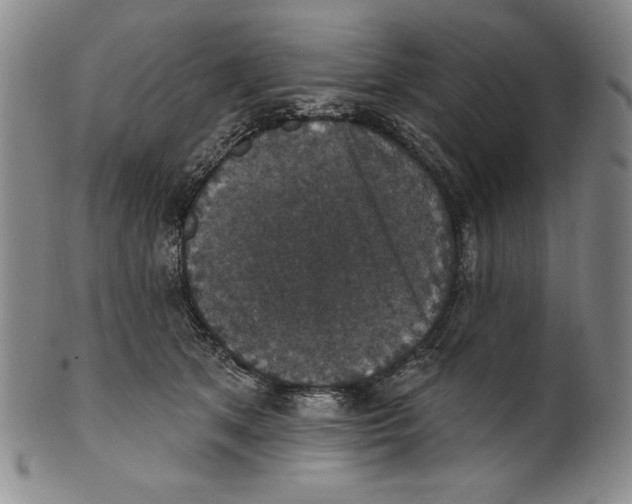 X0000101970513200808081554
