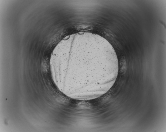 X0000101970515200808081554
