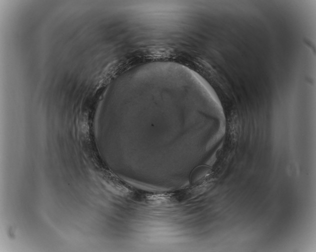 X0000101970516200808081554