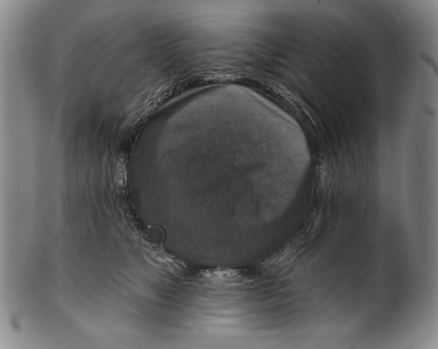 X0000101970517200808081554