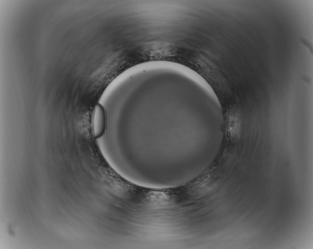 X0000101970519200808081554