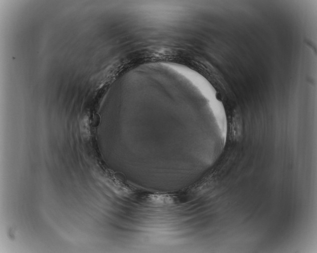 X0000101970520200808081554