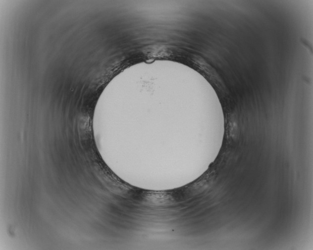 X0000101970521200808081554