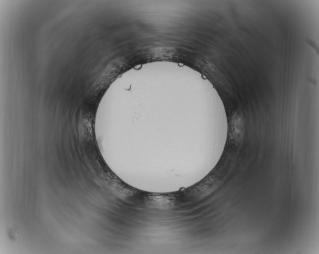 X0000101970522200808081554