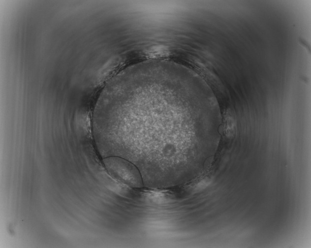 X0000101970523200808081554