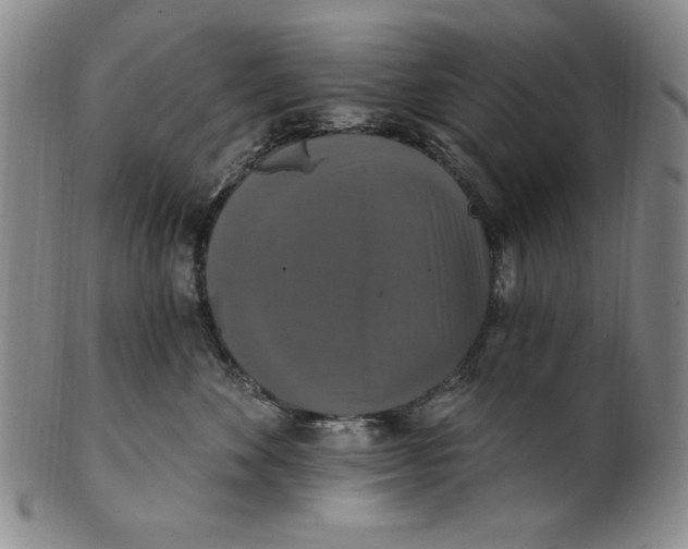 X0000101970524200808081554