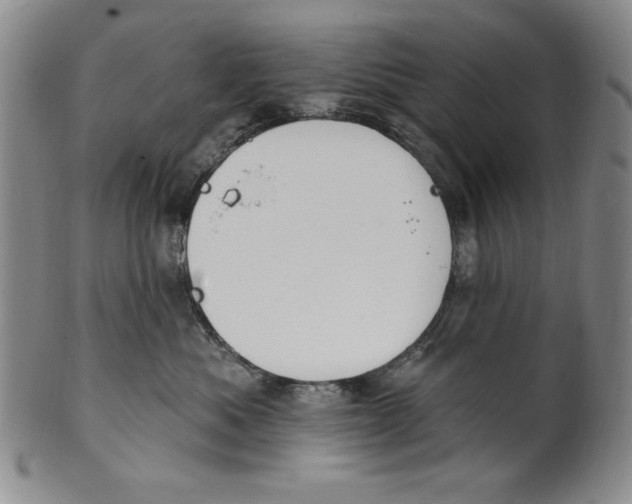 X0000101970525200808081554