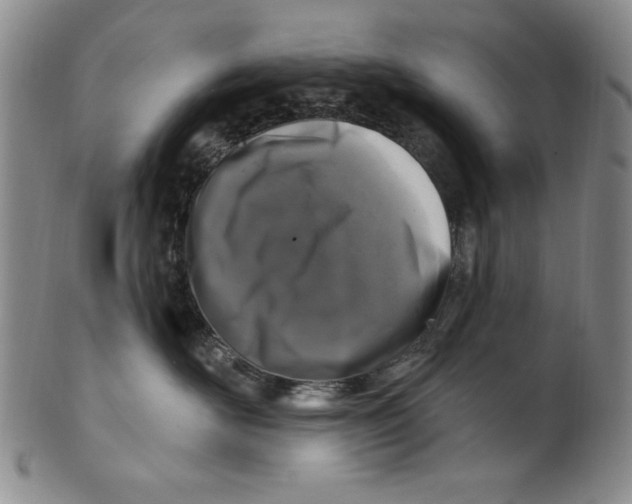 X0000101970526200808081554