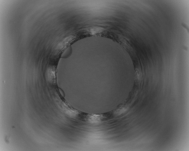 X0000101970527200808081554
