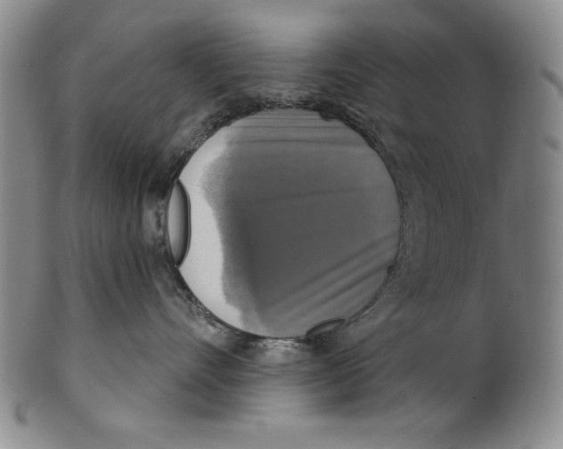 X0000101970528200808081554
