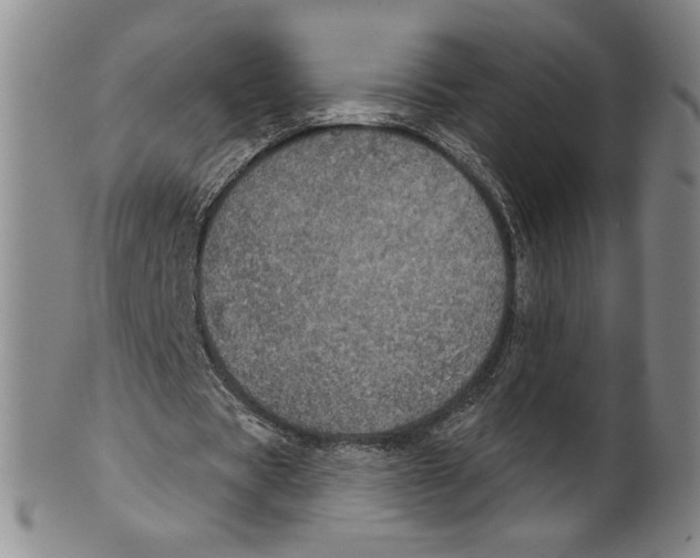X0000101970529200808081553