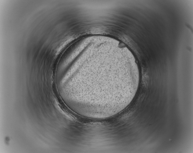 X0000101970530200808081553