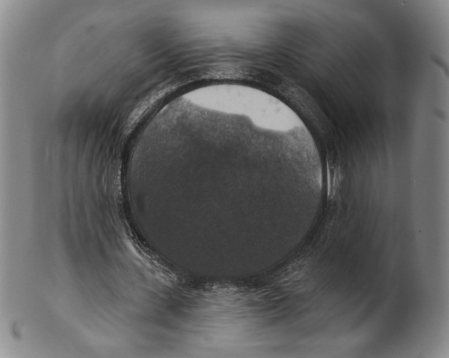 X0000101970531200808081553