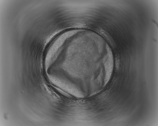 X0000101970532200808081553