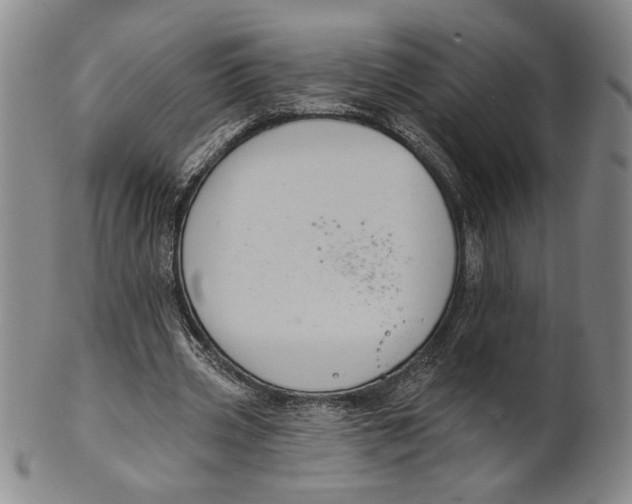 X0000101970533200808081553