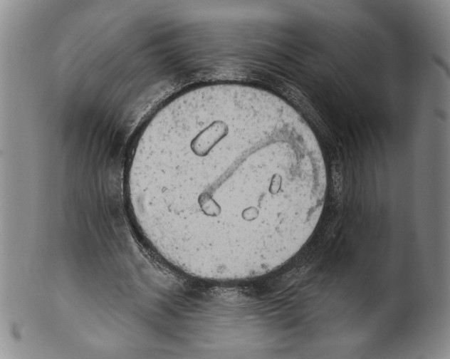 X0000101970534200808081553