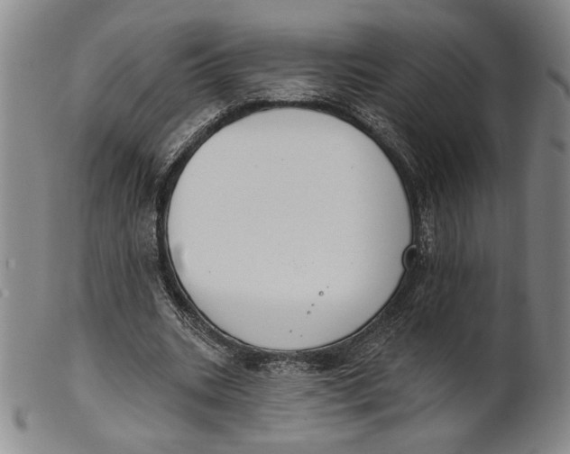 X0000101970535200808081553