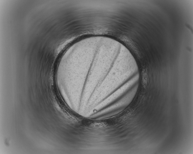 X0000101970536200808081553
