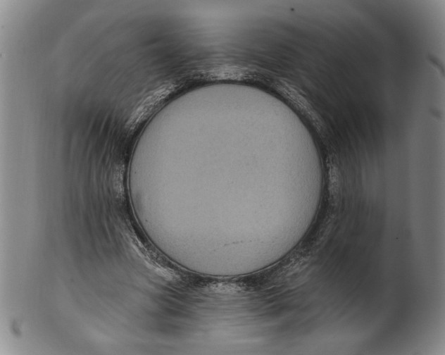 X0000101970537200808081553