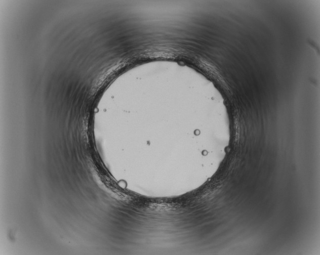 X0000101970538200808081553