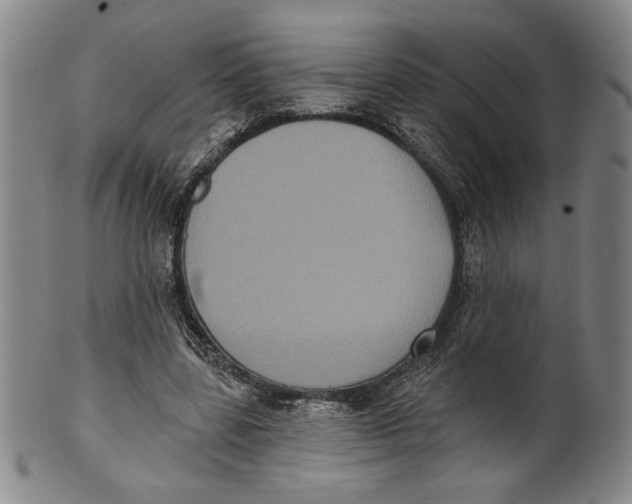 X0000101970539200808081553